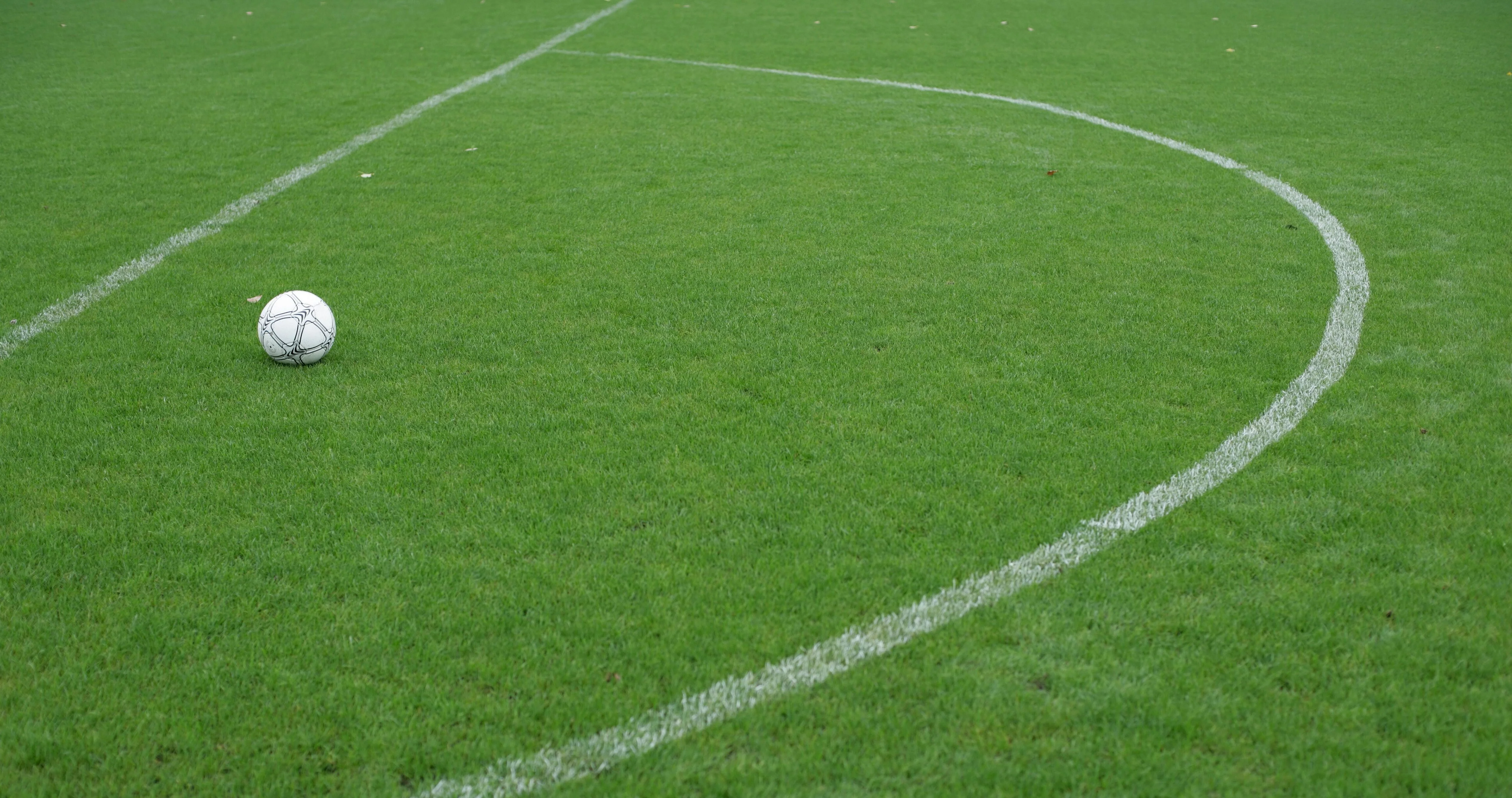 Dinamo sport majmuasi futbol maydoni