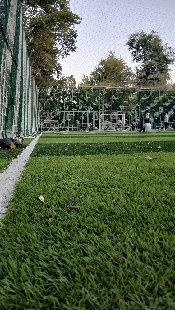 Futbol polya